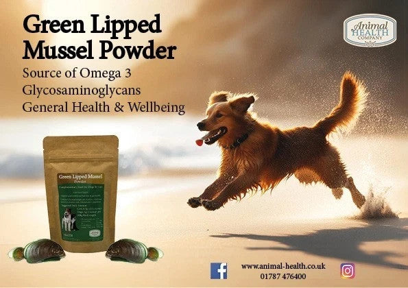 Green Lipped Mussel Powder - BUY 1 GET 1 FREE - for dogs & Cats